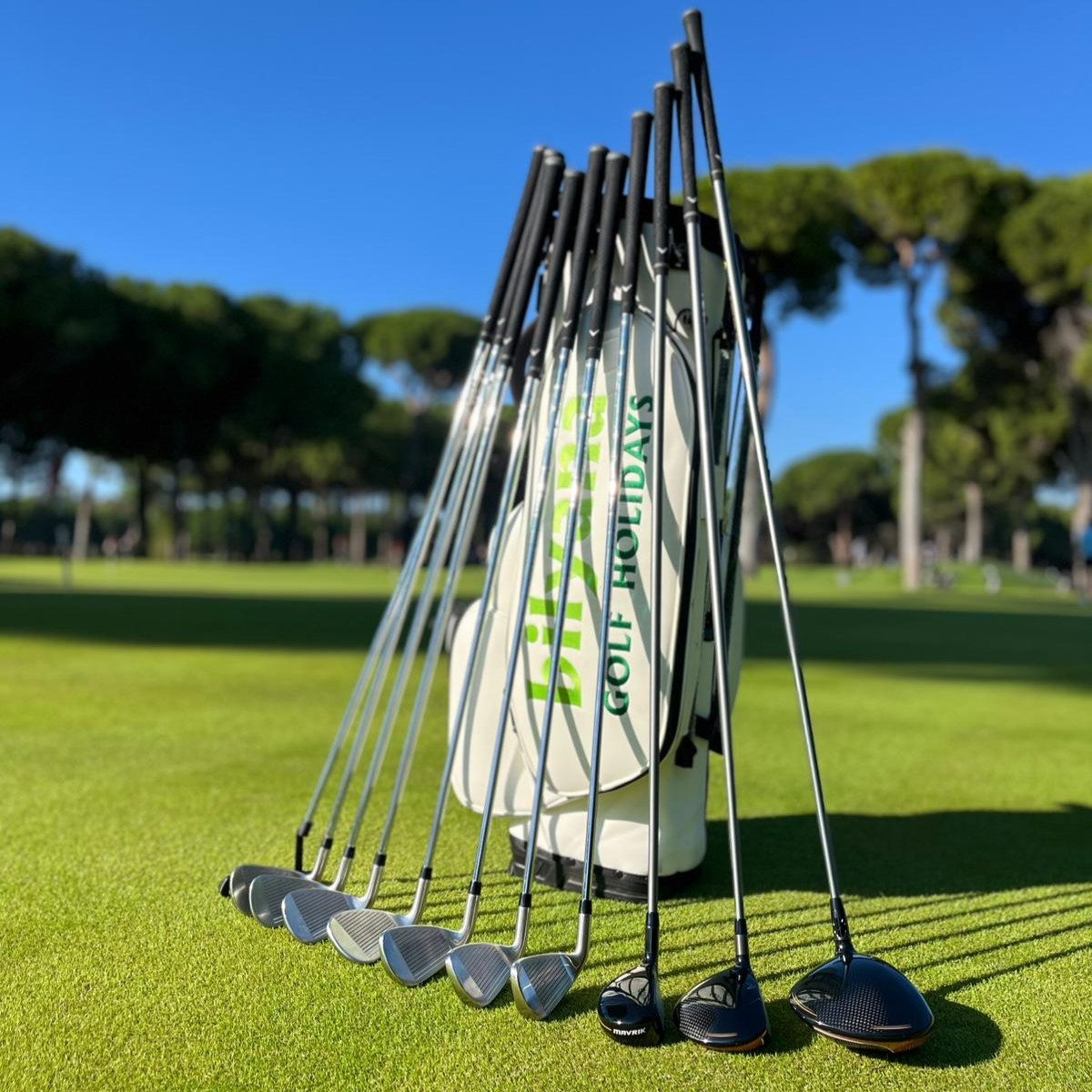 https://payent16.bilyanagolf.com/files/imaj/clubhire1.jpg